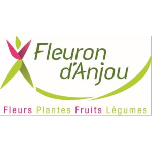 xr:d:DAFNoLF9ERM:23,j:36665829365,t:22092917